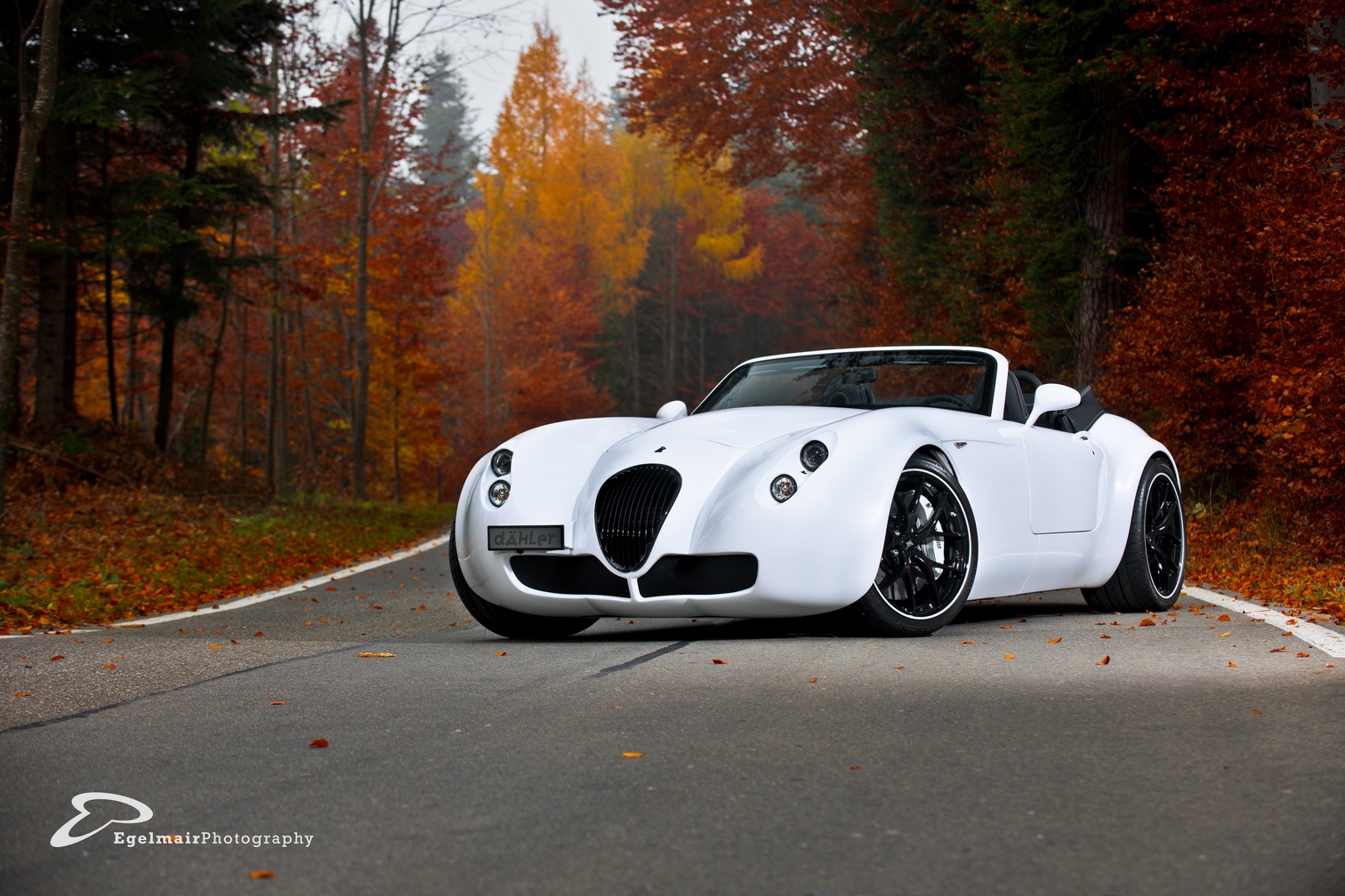 Wiesmann (67) (Kopie) (Kopie)