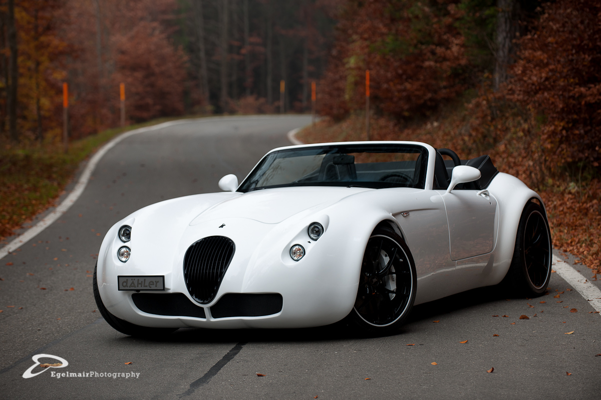 Wiesmann (79)