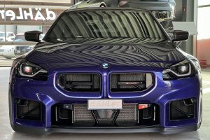 Frontgrill (5)