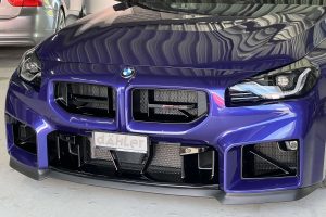 Frontgrill (7)